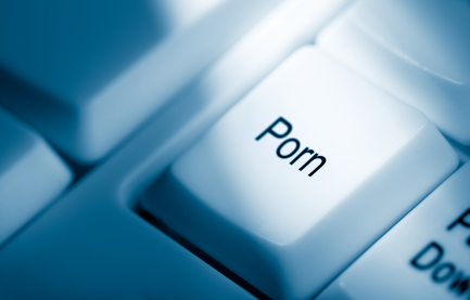 Ex Ponography - What Should An Employer Do if Child Pornography is Discovered in the  Workplace? | Michigan Employment Law Advisor